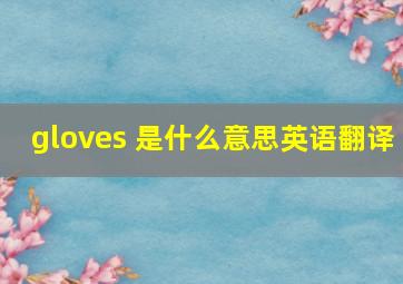 gloves 是什么意思英语翻译